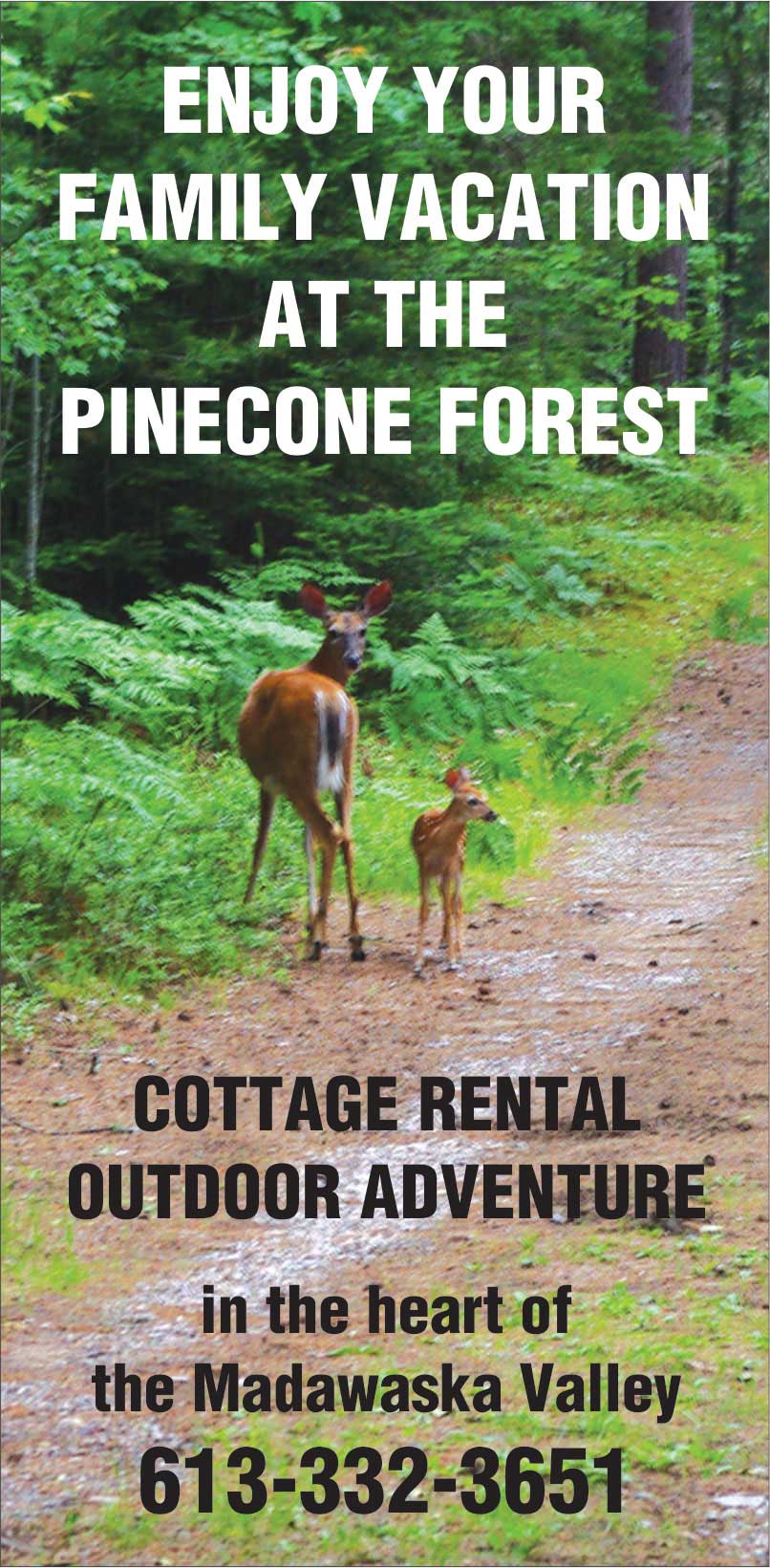 Enjoy Your Family Vacation at The Pinecone Forest--Cottage Rental and Outdoor Recreation