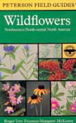 Wildflowers