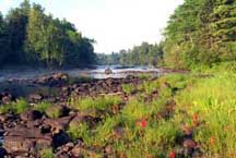 Foster's Rapids - York River