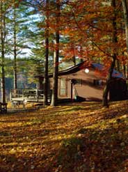 Cottage Rental